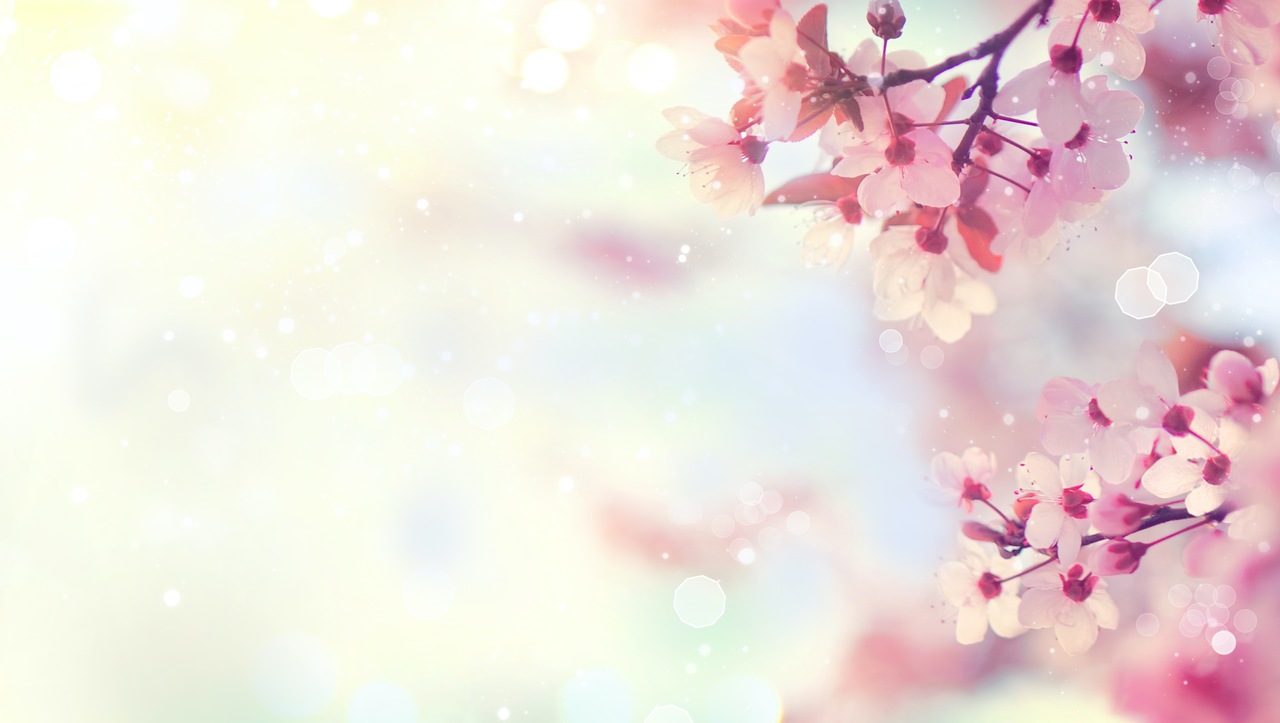 Featured image for “KEVÄÄN 2026 NAPPULAMAASTOT”